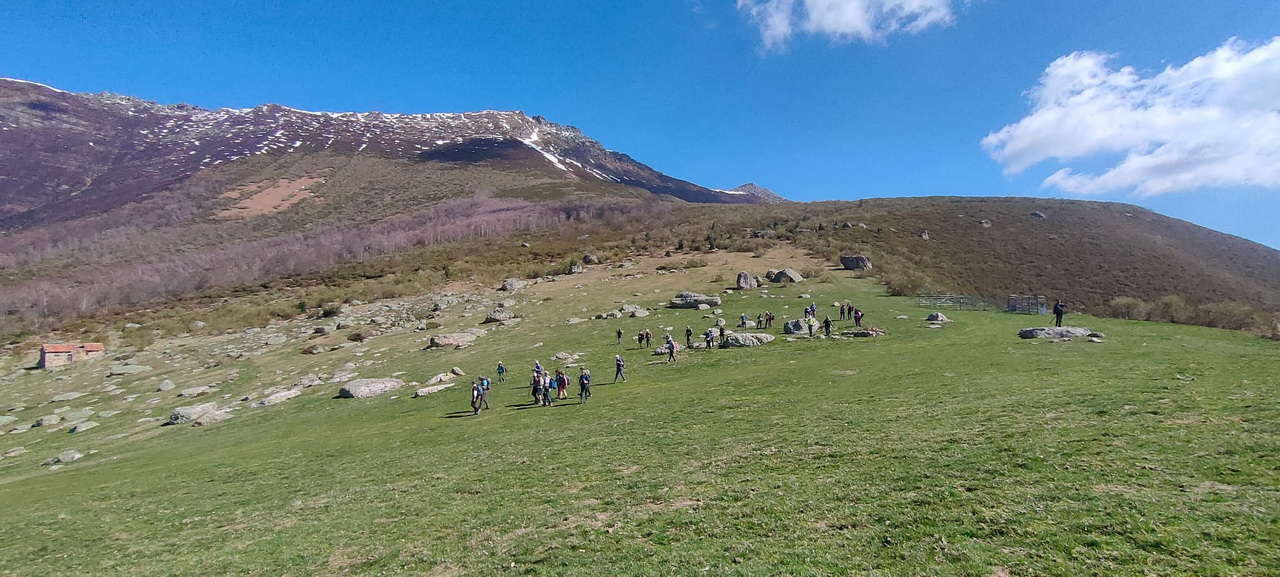 WhatsApp Image 2026-03-23 at 08.14.03 (3)